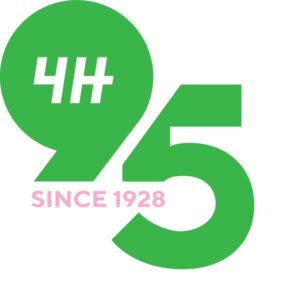 4H-työpaja ja nuorten 4H-yrittäjien esittelyä. Suomen Kädentaidot 2023