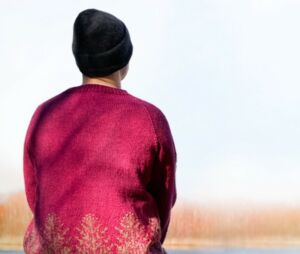 Värinäyttely, Suomen Kädentaidot 2023